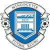 埃涅尔格提克logo